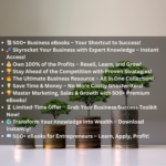 500 Ebook Business